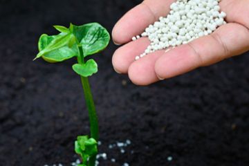 Fertilizer production