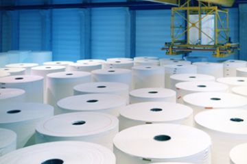 Pulp and paper
