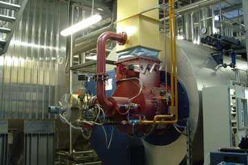 Process steam generation