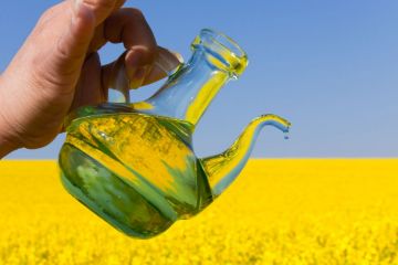 Edible oil processing